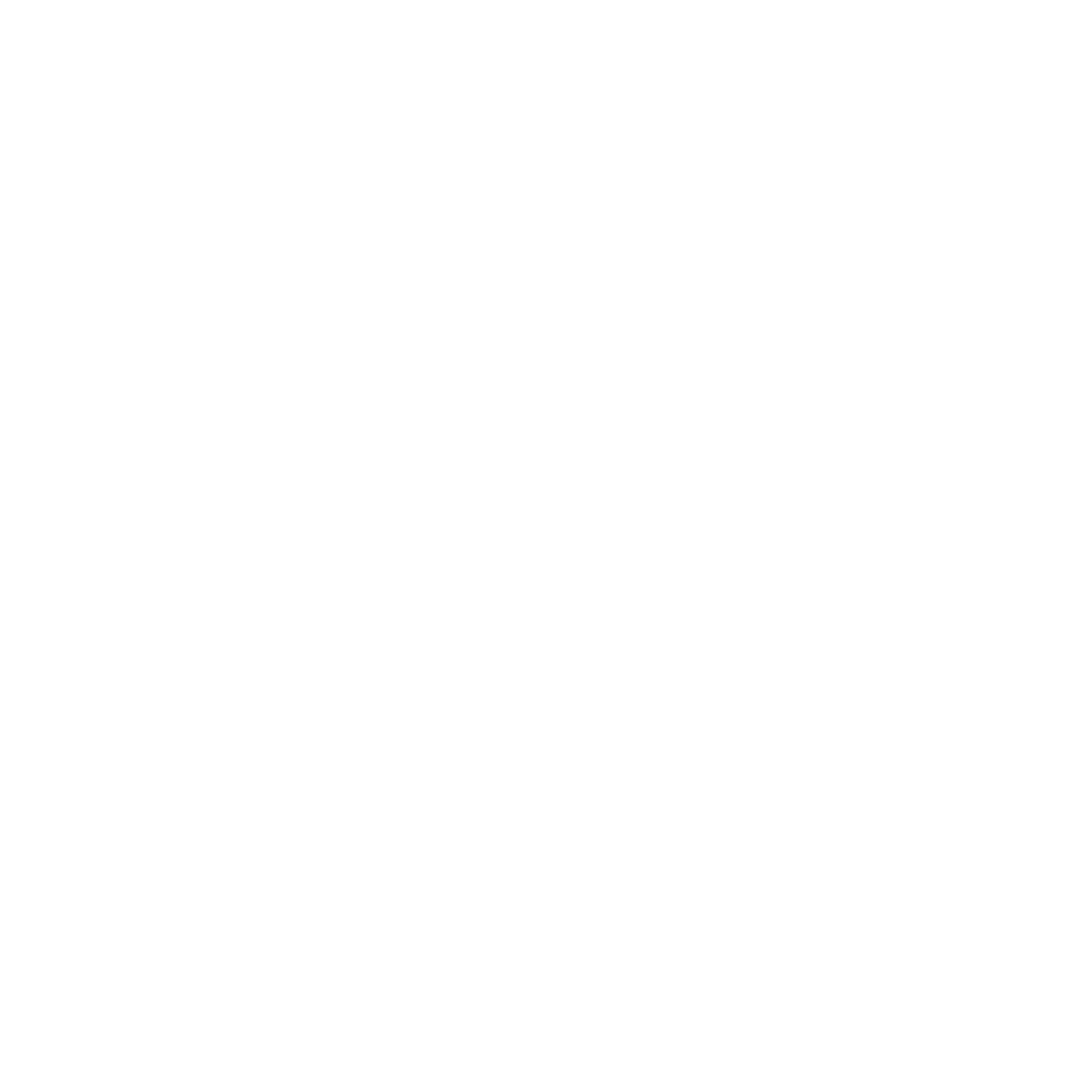 VISION LOGO